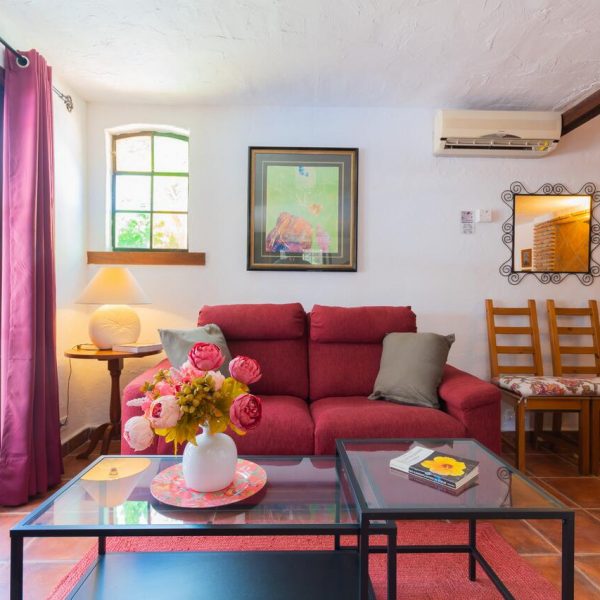 ESTUDIO PALMERAL16